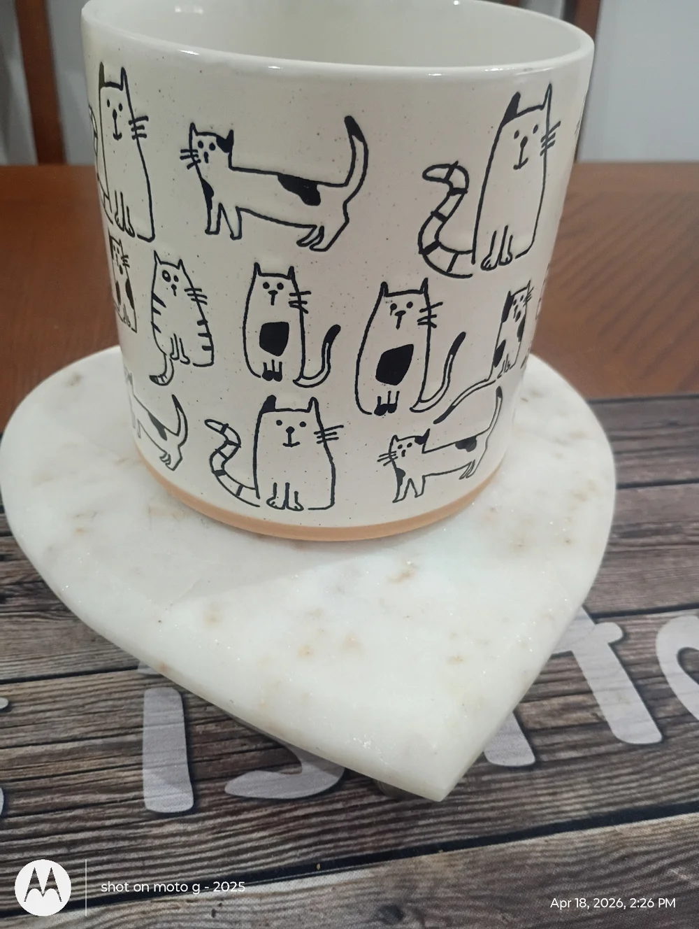 Cat planter All Over Print - Picture 10 of 10